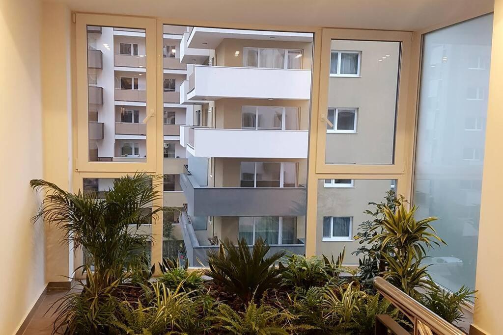 Wonderful Apartment Брашов Екстериор снимка